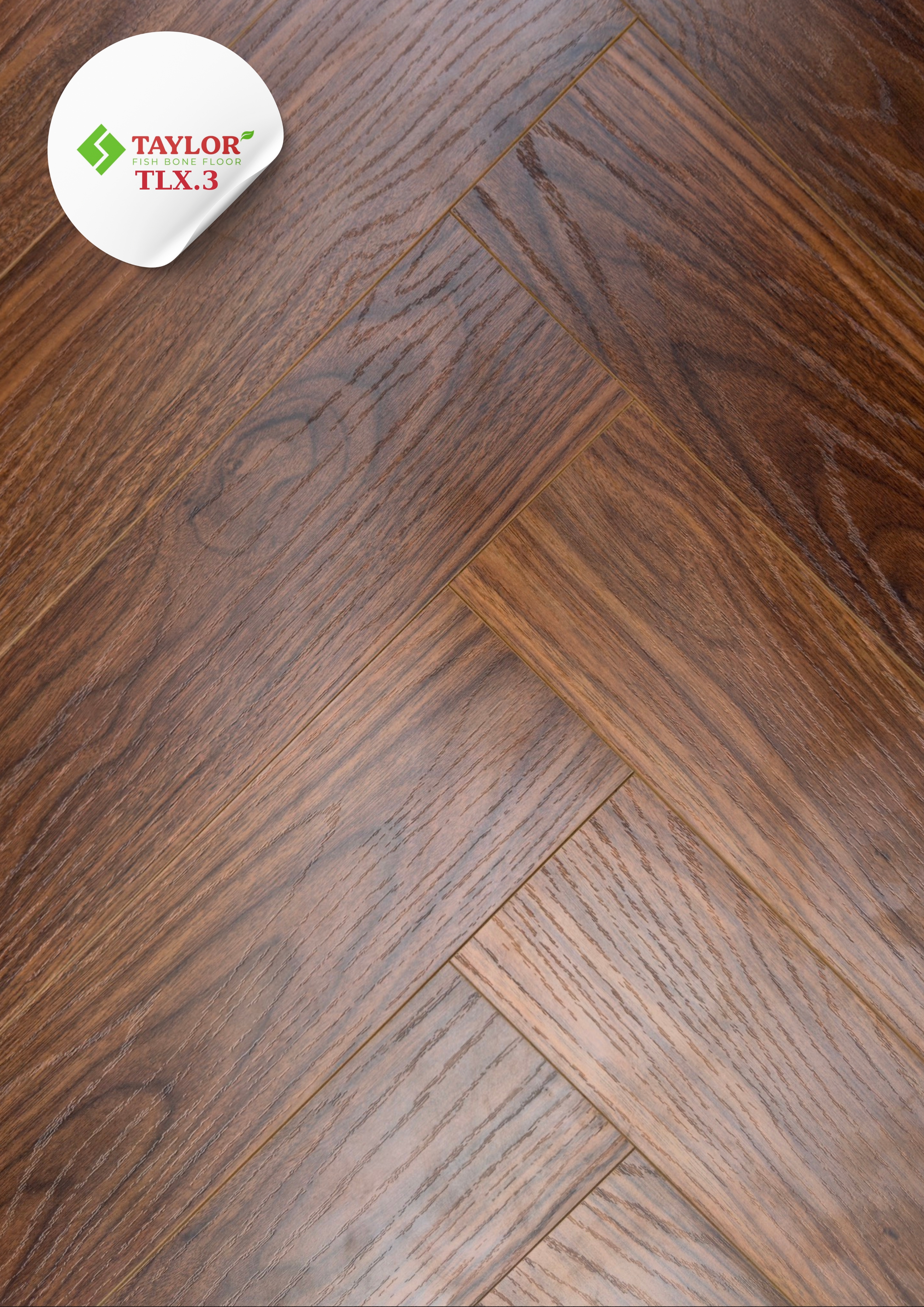 TAYLOR – TLX3