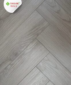 TAYLOR – TLX5